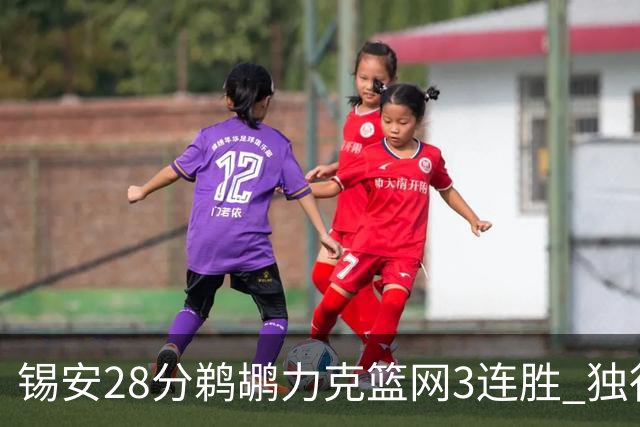 锡安28分鹈鹕力克篮网3连胜 独行侠险胜马刺